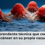 La sorprendente técnica que convierte al cáncer en su propia vacuna