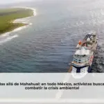 Mas allá de Mahahual: en todo México, activistas buscan combatir la crisis ambiental