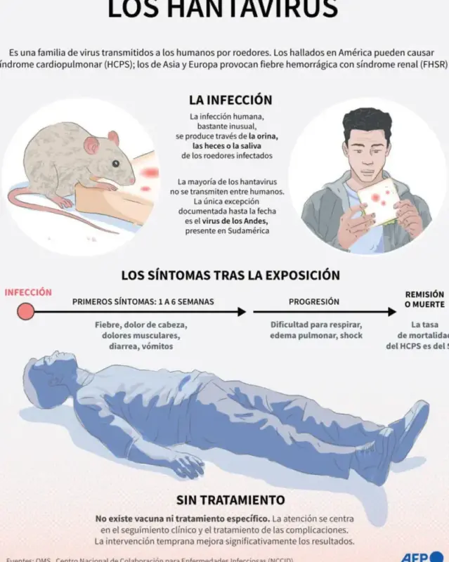 Todo lo que tienes que saber sobre el hantavirus, explicado por un infectólogo