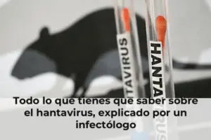 Todo lo que tienes que saber sobre el hantavirus, explicado por un infectólogo