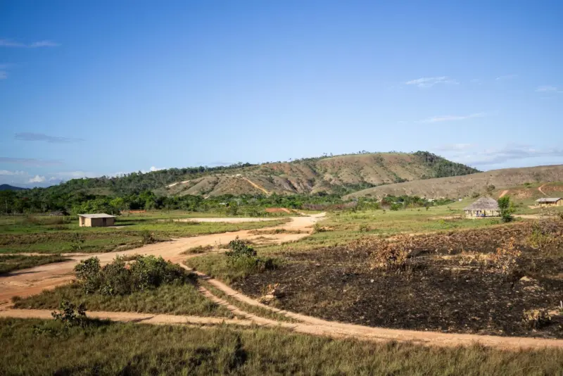 Una cuarta parte de la Amazonía podría llegar al colapso ecológico ante el avance del crimen organizado