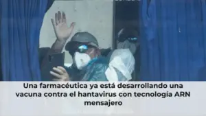 Una farmacéutica ya está desarrollando una vacuna contra el hantavirus con tecnología ARN mensajero