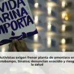 Activistas exigen frenar planta de amoníaco en Topolobampo, Sinaloa; denuncian ecocidio y riesgos a la salud