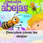 Descubre cómo las abejas