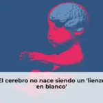 El cerebro no nace siendo un 'lienzo en blanco'