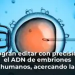 Logran editar con precisión el ADN de embriones humanos, acercando la posibilidad de bebés modificados genéticamente