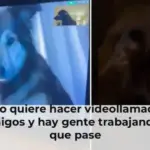 Tu perro quiere hacer videollamadas con sus amigos y hay gente trabajando para que pase