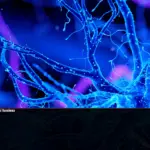 El pegamento para nervios ya es real, y sí funciona