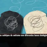Identifican dos subtipos de autismo con diferentes bases biológicas en el cerebro