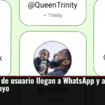 Los nombres de usuario llegan a WhatsApp y así puedes reservar el tuyo