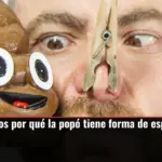 Por fin sabemos por qué la popó tiene forma de espiral