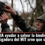 ¿Puede la IA ayudar a salvar la biodiversidad? Una investigadora del MIT cree que sí